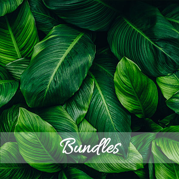 Bundles