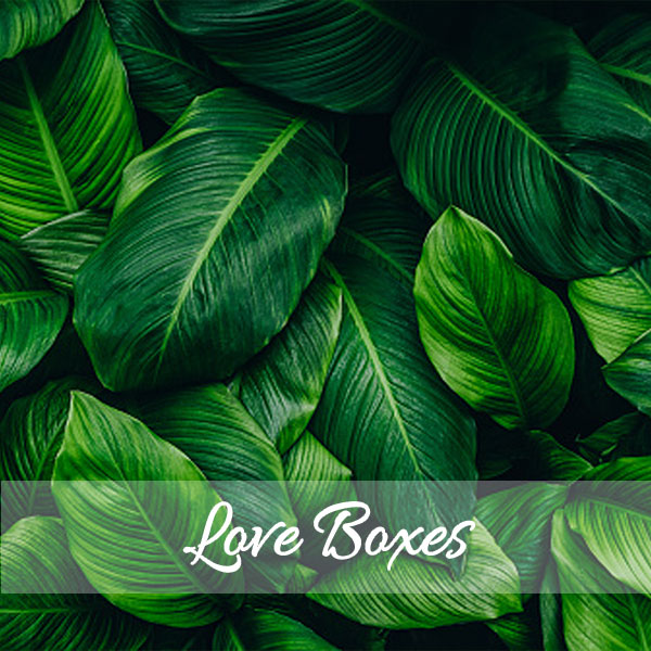 Love Boxes